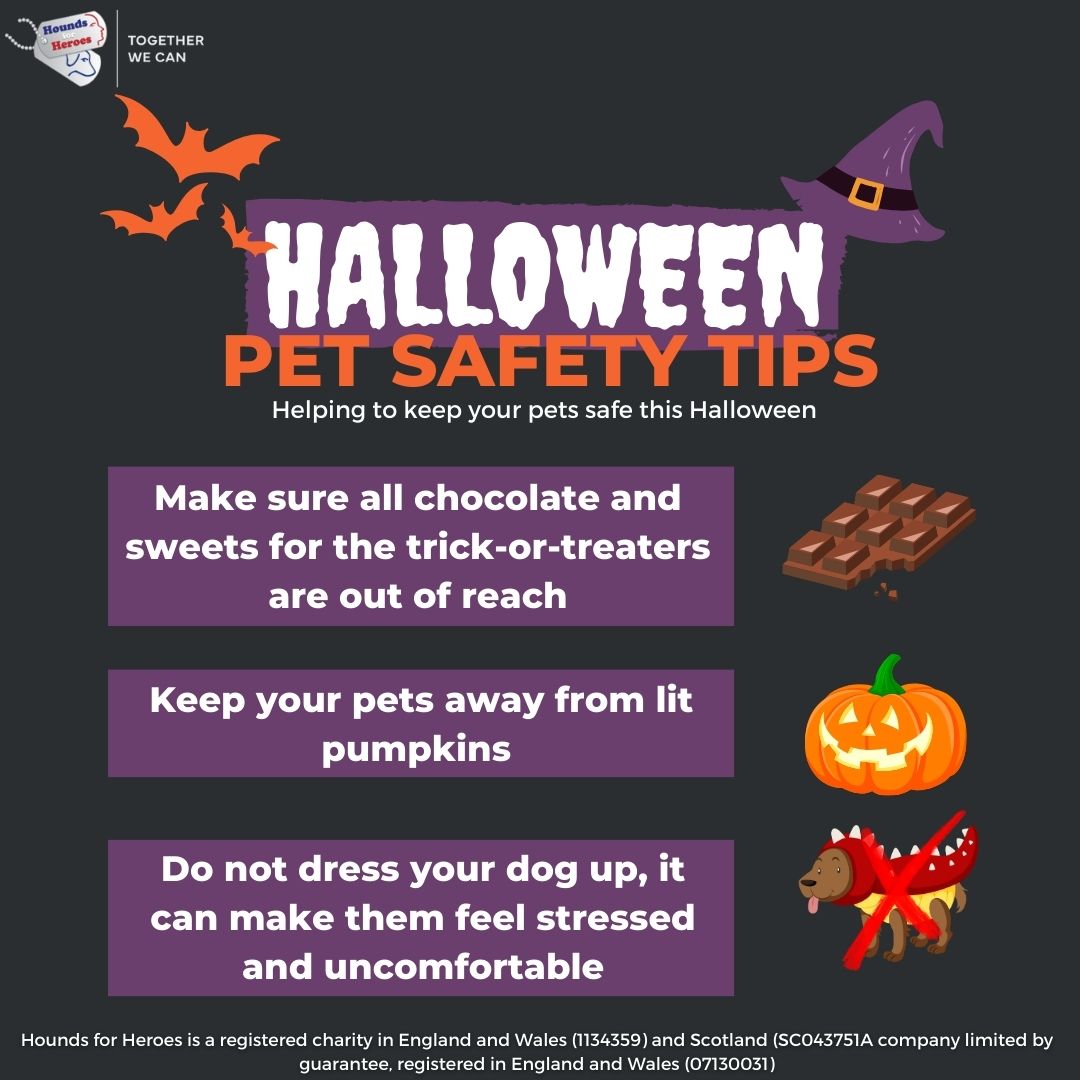 Halloween Pet Safety Tips Hounds for Heroes